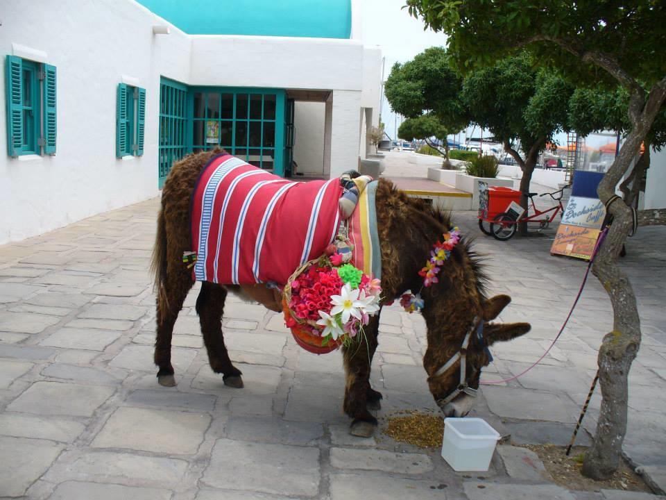 Mykonos Holidays @ Club Mykonos Langebaan Zewnętrze zdjęcie